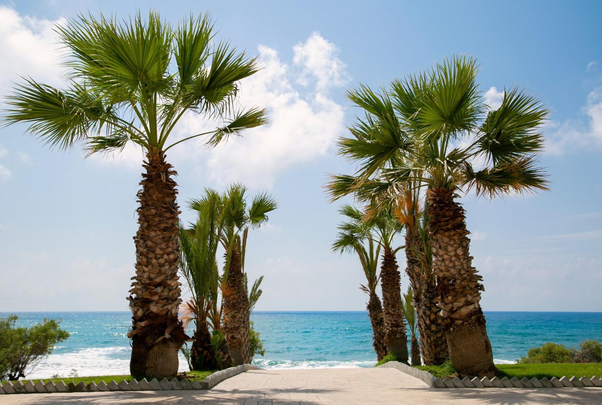 Готель Louis Paphos Breeze Klorakas Екстер'єр фото